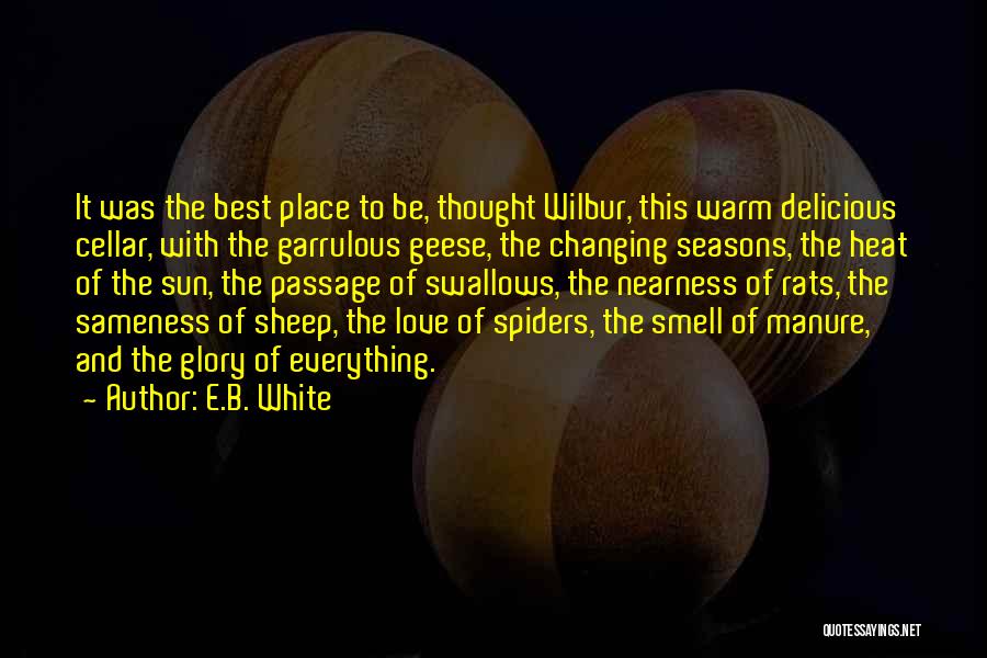 Delicious Love Quotes By E.B. White