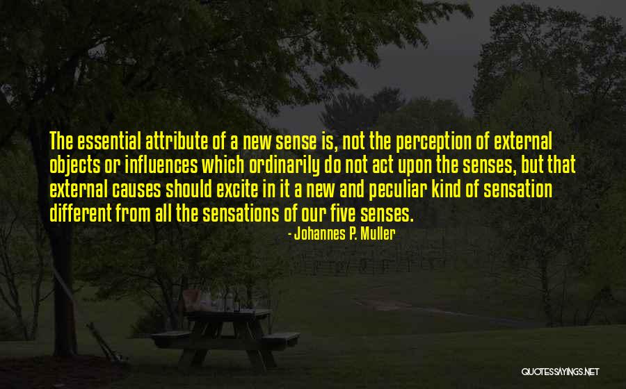 Delicto Mary Quotes By Johannes P. Muller Delicto Mary Quotes By Johannes P. Muller