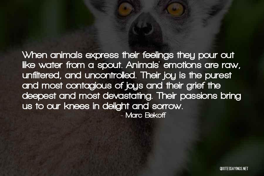 Delight And Joy Quotes By Marc Bekoff Delight And Joy Quotes By Marc Bekoff