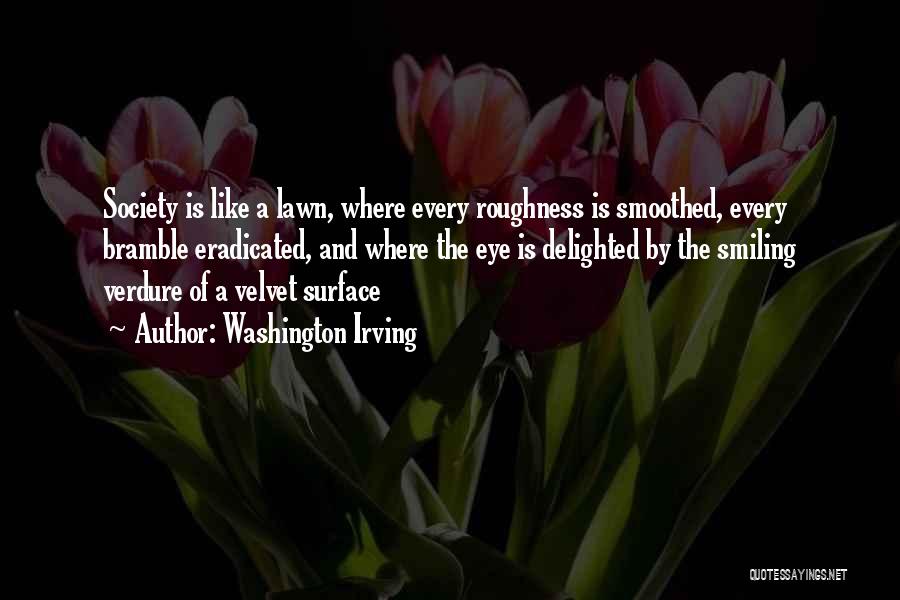 Delighted Quotes By Washington Irving