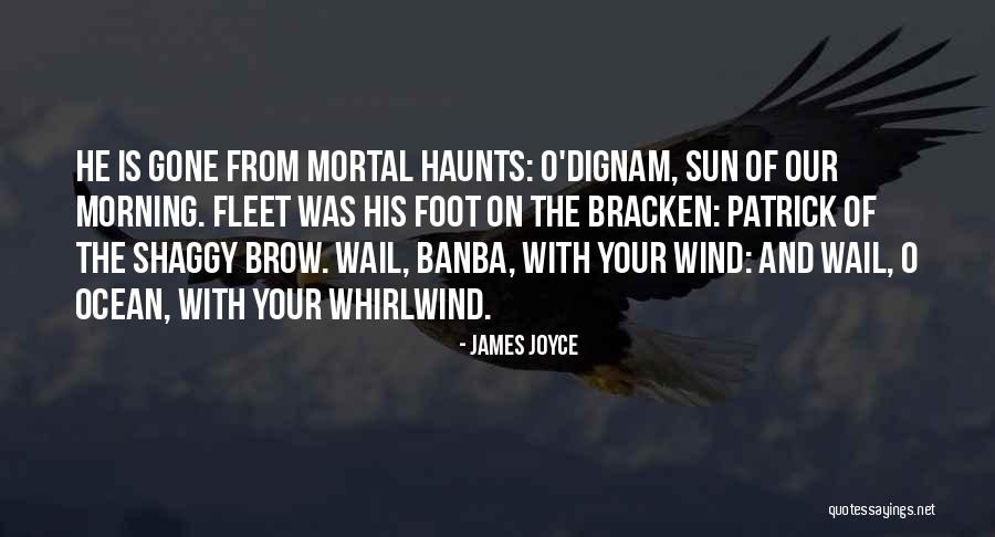 Delikatne Wzorki Quotes By James Joyce Delikatne Wzorki Quotes By James Joyce
