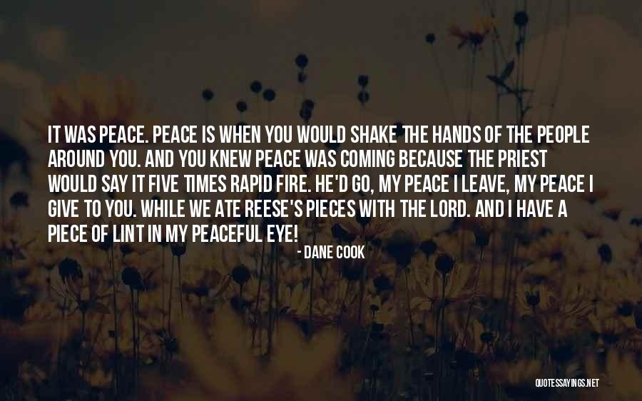 Delimiting Synonym Quotes By Dane Cook Delimiting Synonym Quotes By Dane Cook
