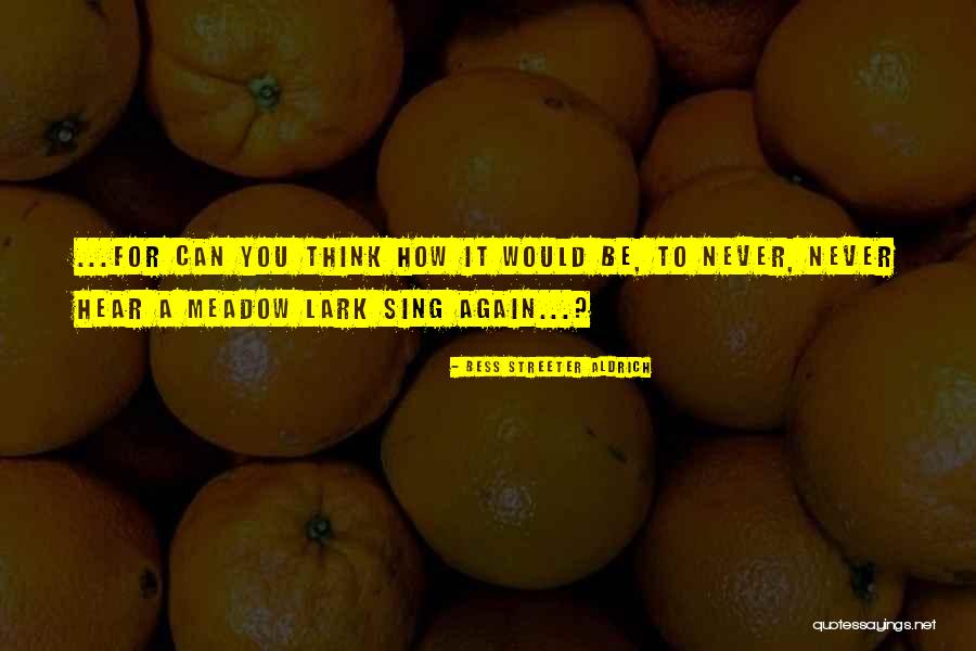 Delitto Lol Quotes By Bess Streeter Aldrich Delitto Lol Quotes By Bess Streeter Aldrich
