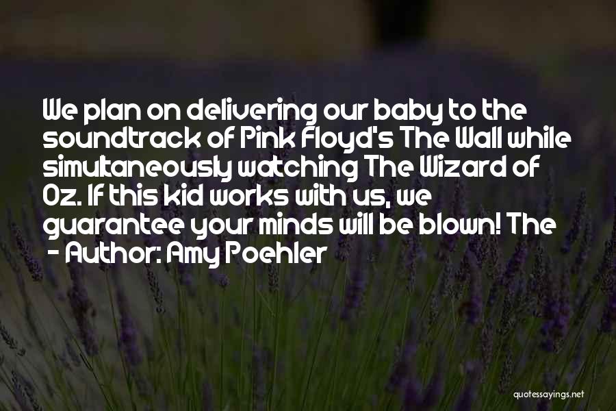 Delivering A Baby Quotes By Amy Poehler