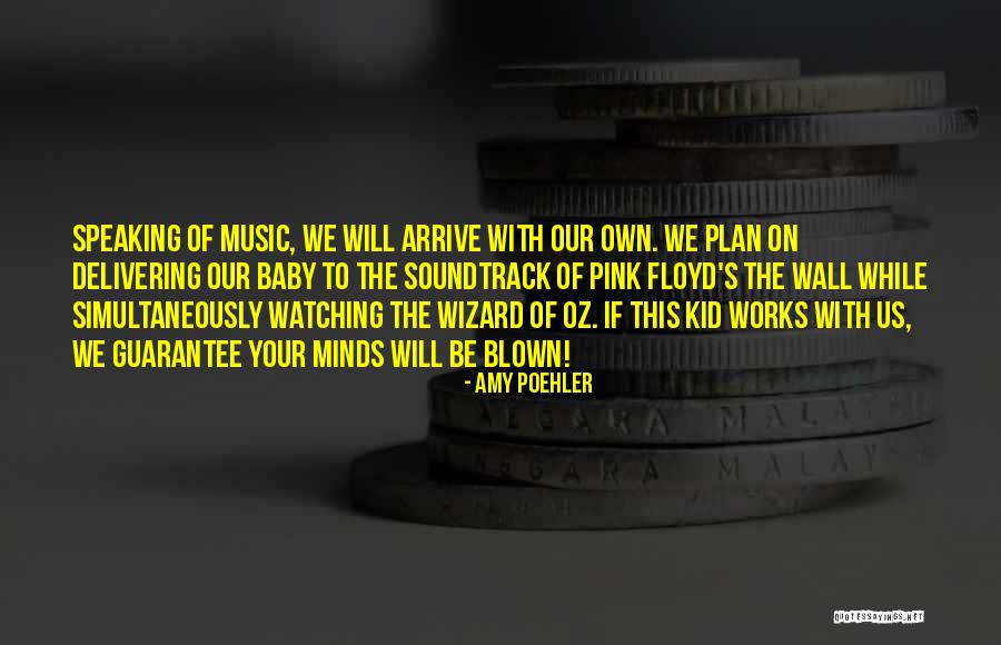 Delivering A Baby Quotes By Amy Poehler Delivering A Baby Quotes By Amy Poehler