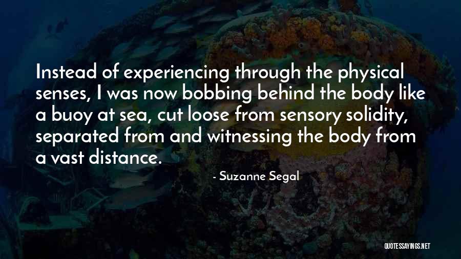 Deliziosa Costa Quotes By Suzanne Segal Deliziosa Costa Quotes By Suzanne Segal
