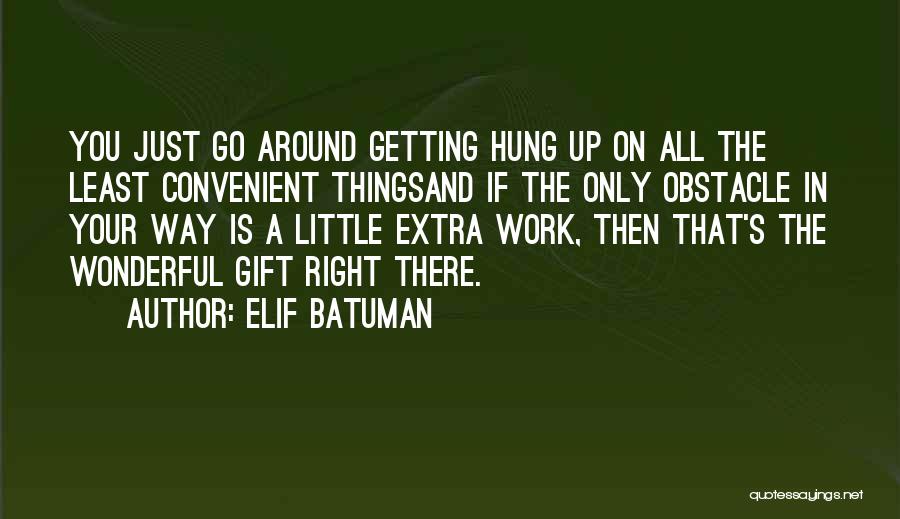 Dell Aeronautical Engineering Quotes By Elif Batuman