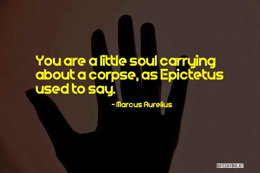 Dell Architettura Sonora Quotes By Marcus Aurelius Dell Architettura Sonora Quotes By Marcus Aurelius