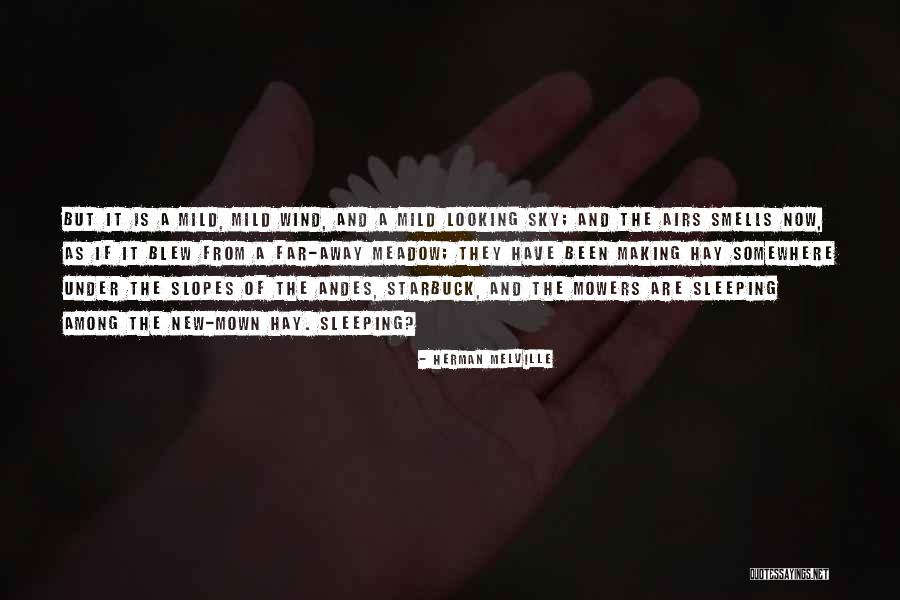 Dell Istruzione Parentale Quotes By Herman Melville Dell Istruzione Parentale Quotes By Herman Melville