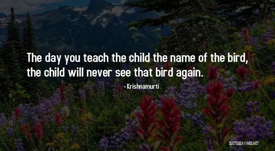 Dellacamera Dinorah Quotes By Krishnamurti Dellacamera Dinorah Quotes By Krishnamurti