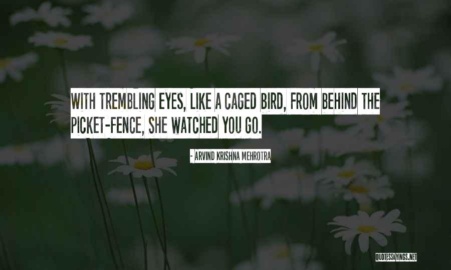 Delmarie Ship Quotes By Arvind Krishna Mehrotra Delmarie Ship Quotes By Arvind Krishna Mehrotra