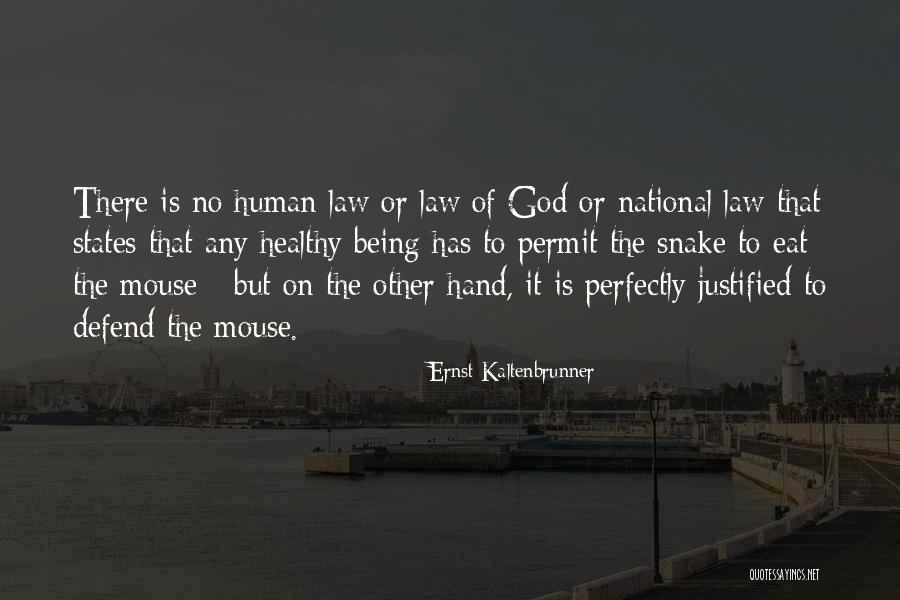 Delmonico Quotes By Ernst Kaltenbrunner Delmonico Quotes By Ernst Kaltenbrunner
