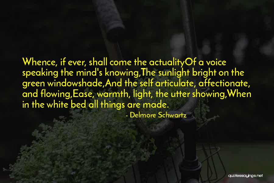 Delmore Schwartz Quotes 1396136