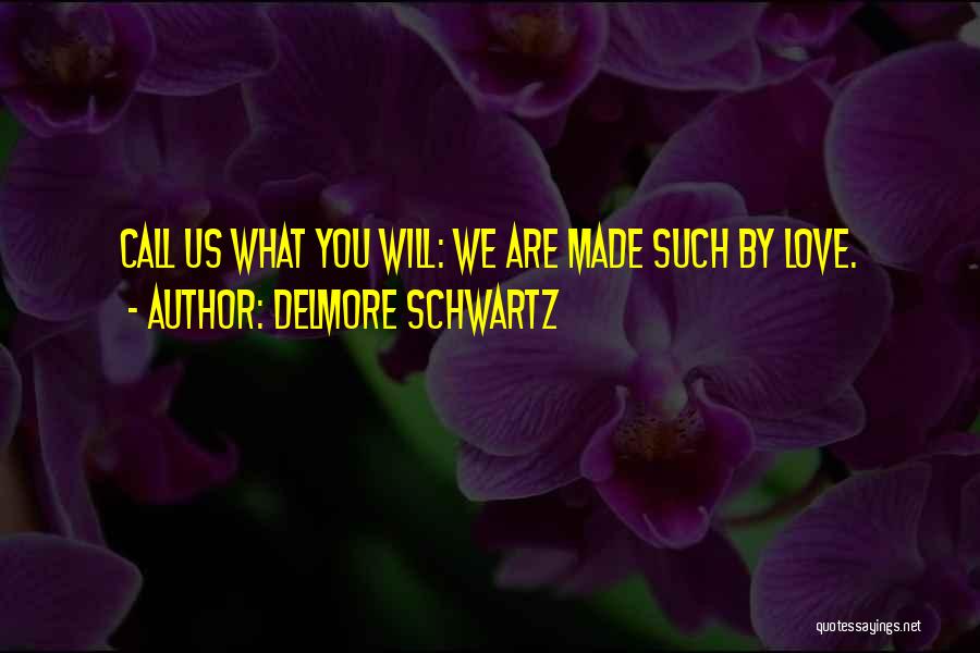 Delmore Schwartz Quotes 1498448