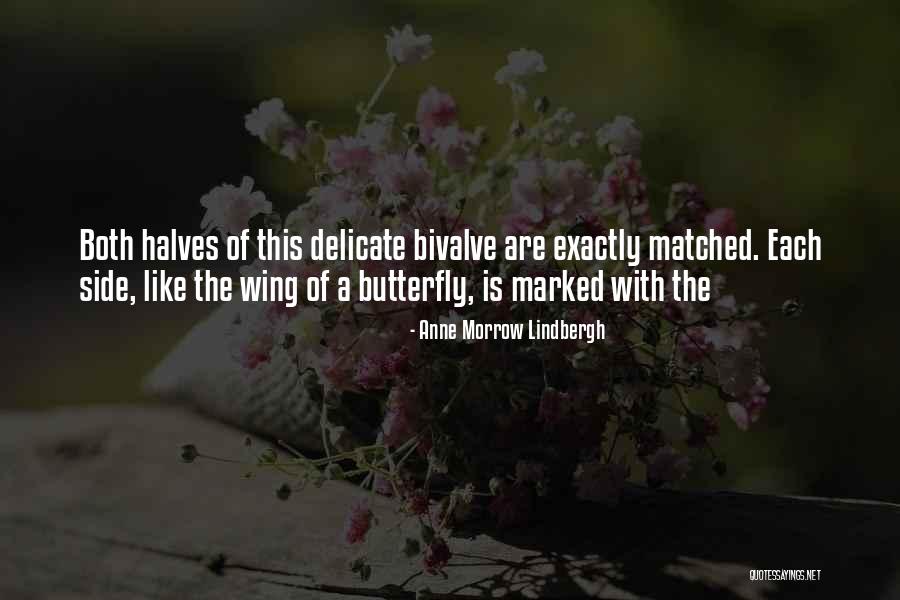 Delmotte Olivier Quotes By Anne Morrow Lindbergh Delmotte Olivier Quotes By Anne Morrow Lindbergh