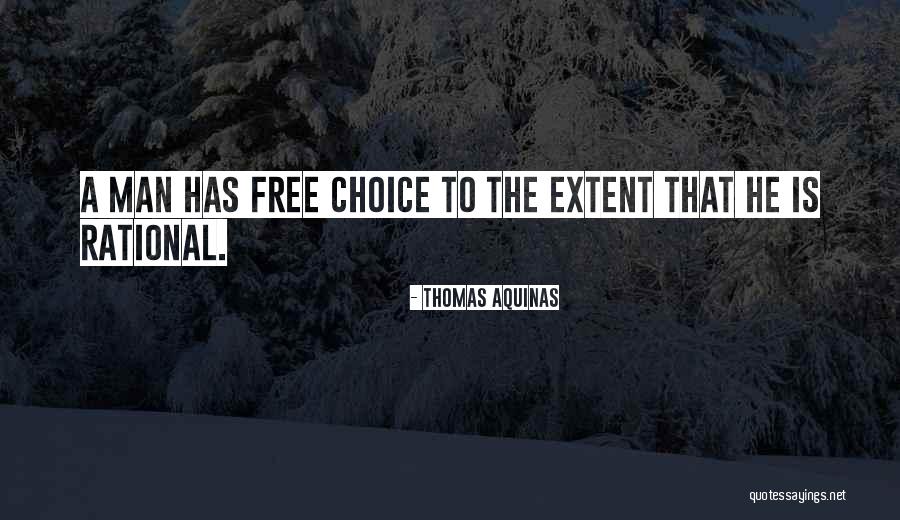 Delorimier Meritage Quotes By Thomas Aquinas Delorimier Meritage Quotes By Thomas Aquinas