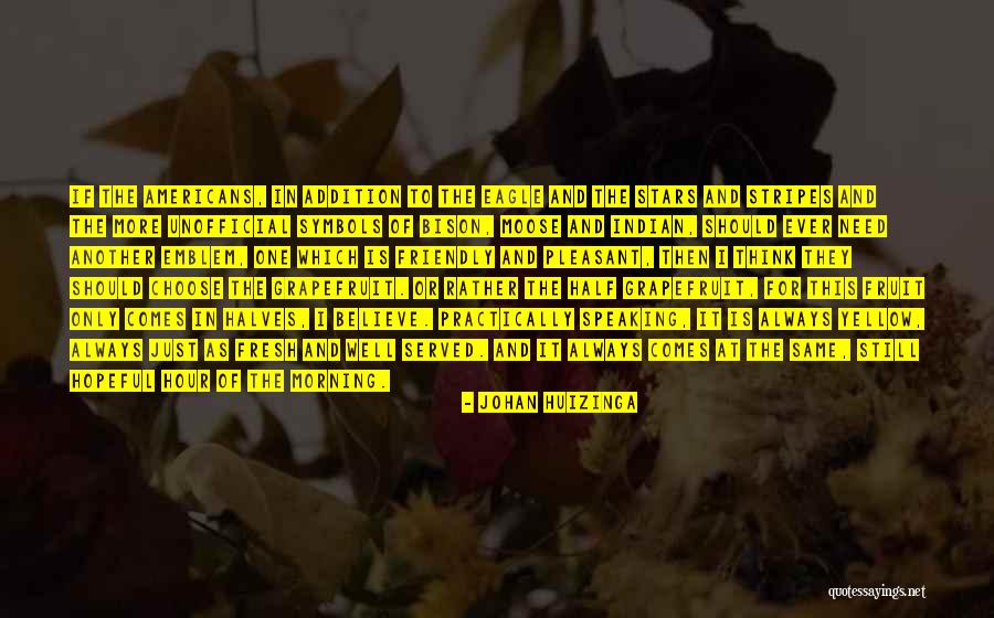 Deloris Williams Quotes By Johan Huizinga Deloris Williams Quotes By Johan Huizinga