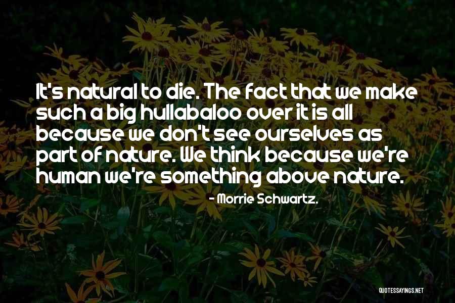 Delozier Funeral Chelsea Quotes By Morrie Schwartz. Delozier Funeral Chelsea Quotes By Morrie Schwartz.
