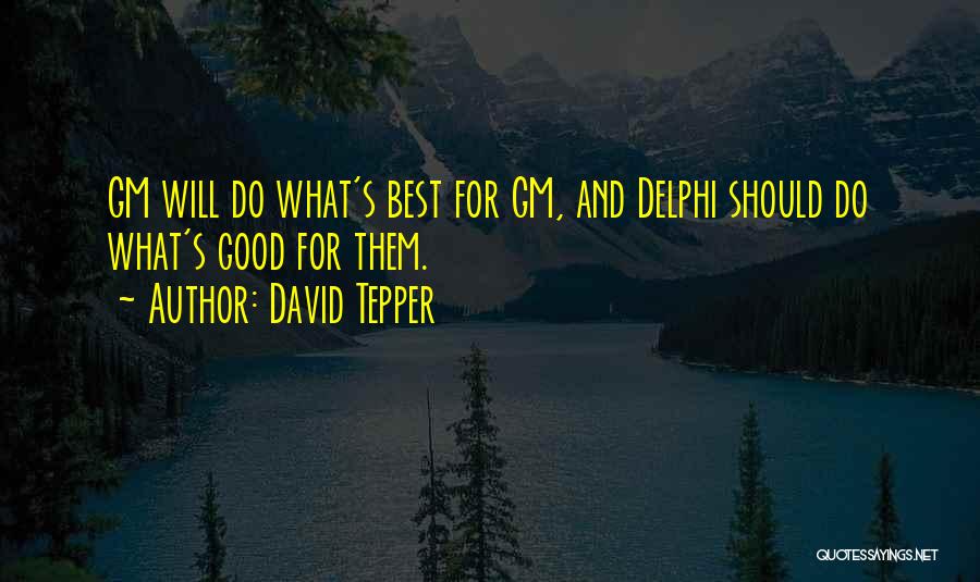 Delphi Quotes By David Tepper