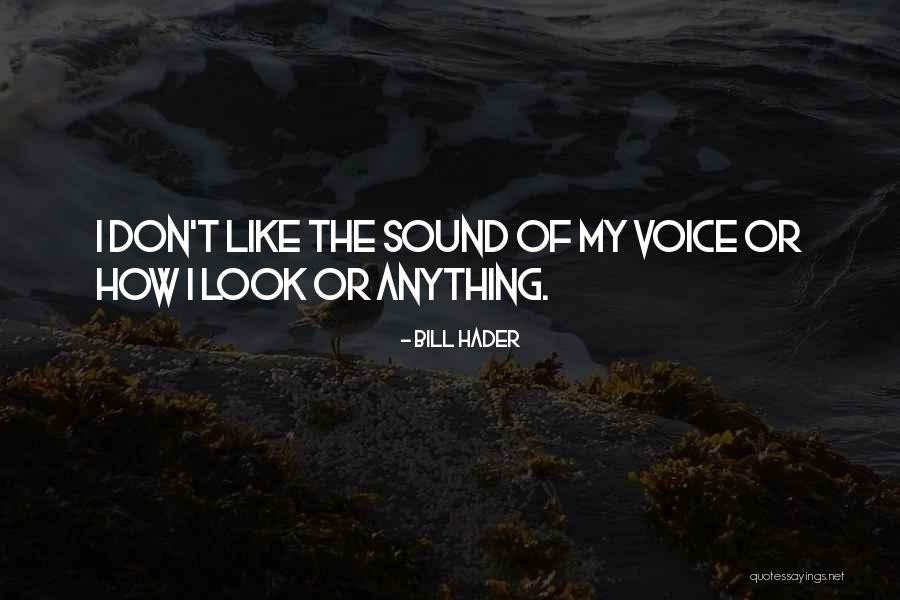Delphic Shrine Quotes By Bill Hader Delphic Shrine Quotes By Bill Hader