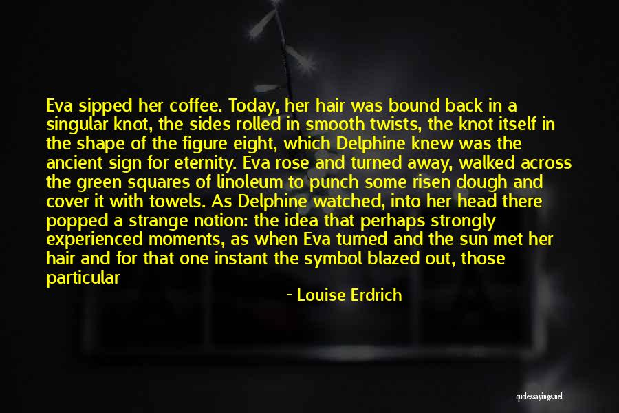 Delphine Quotes By Louise Erdrich Delphine Quotes By Louise Erdrich