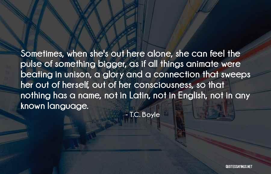 Delporte Quotes By T.C. Boyle Delporte Quotes By T.C. Boyle