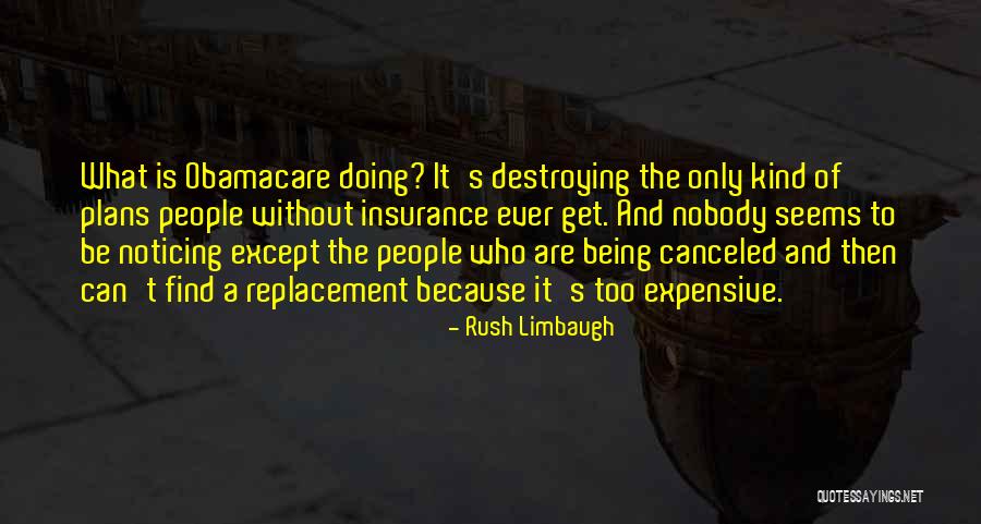 Delsignore Insurance Quotes By Rush Limbaugh Delsignore Insurance Quotes By Rush Limbaugh