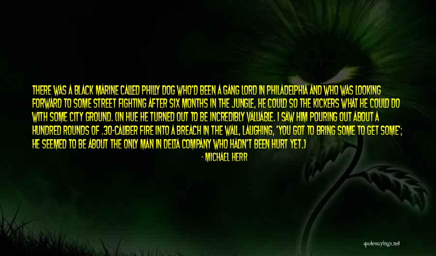 Delta Of Quotes By Michael Herr Delta Of Quotes By Michael Herr