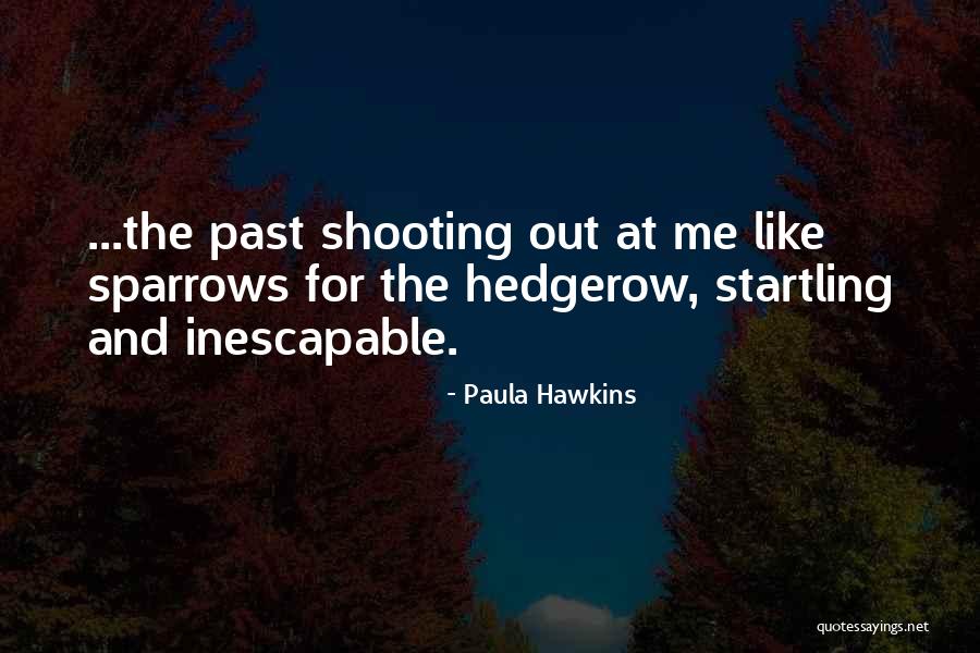 Deluged Def Quotes By Paula Hawkins Deluged Def Quotes By Paula Hawkins
