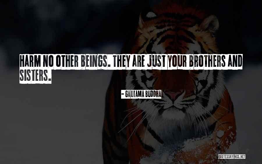 Delvan Mitchell Quotes By Gautama Buddha Delvan Mitchell Quotes By Gautama Buddha