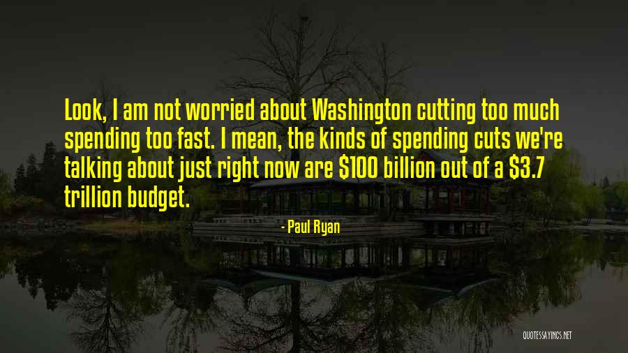 Demagnetizing Quotes By Paul Ryan Demagnetizing Quotes By Paul Ryan