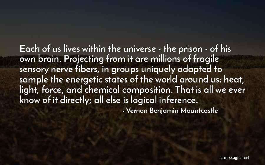 Demaine Quotes By Vernon Benjamin Mountcastle Demaine Quotes By Vernon Benjamin Mountcastle