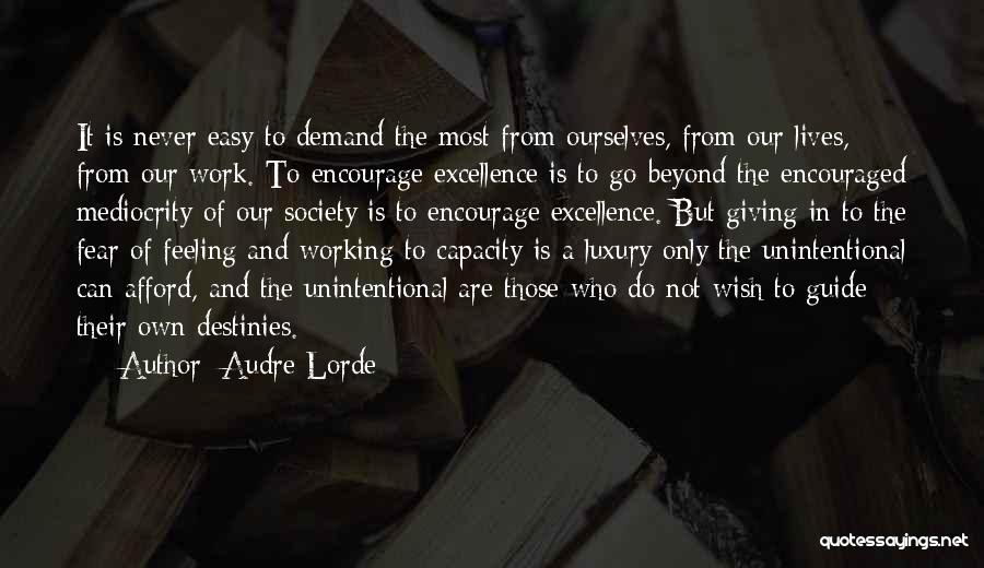 Demand Excellence Quotes By Audre Lorde