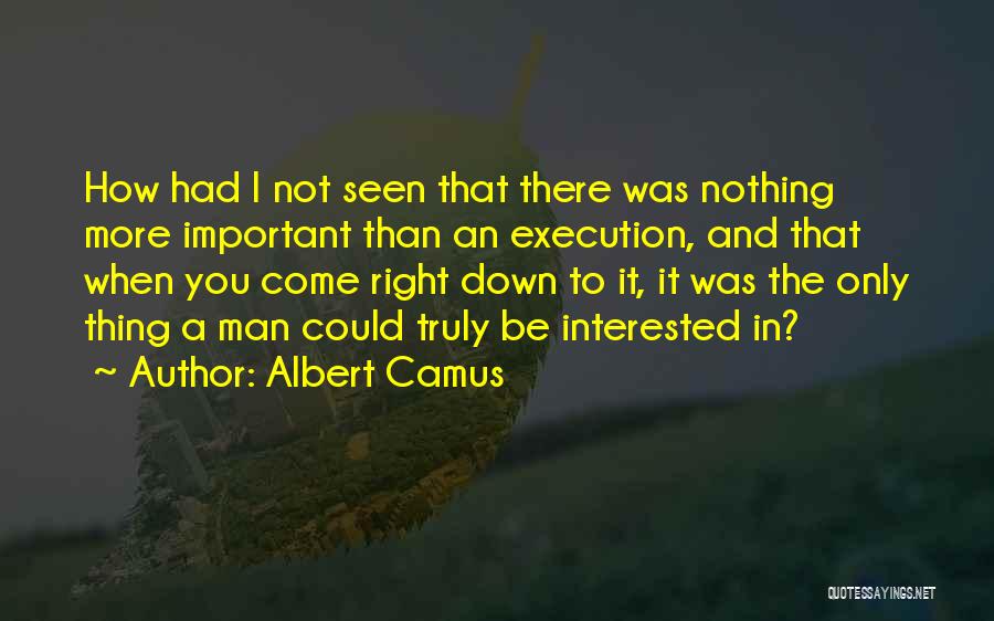 Demand Metric Quotes By Albert Camus