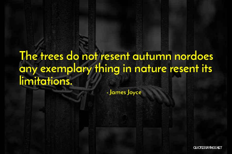 Demann Concrete Quotes By James Joyce Demann Concrete Quotes By James Joyce