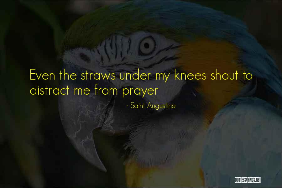 Demaria Electric Quotes By Saint Augustine Demaria Electric Quotes By Saint Augustine