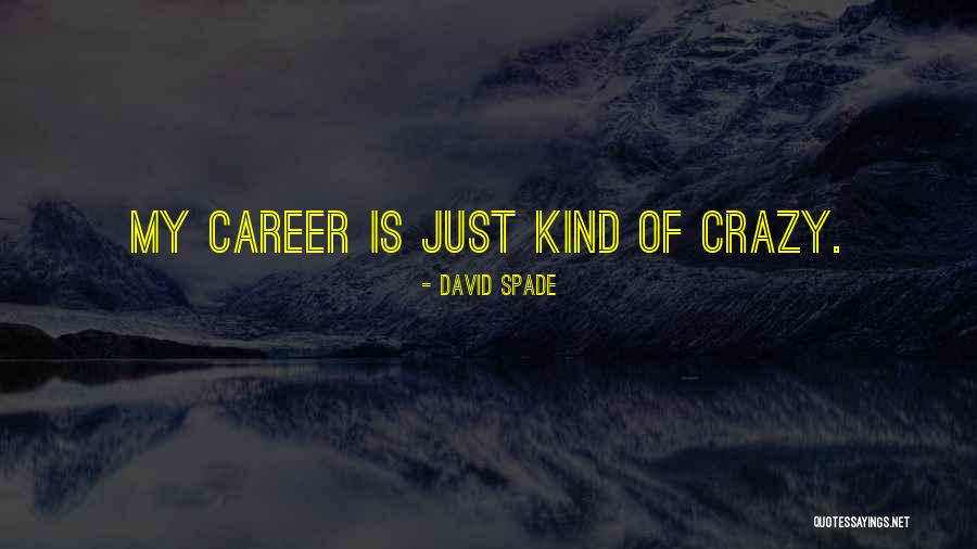 Demaris Hardware Quotes By David Spade