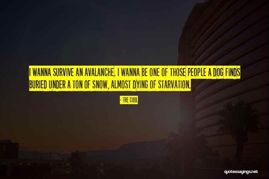 Demaris Harvey Quotes By Tre Cool Demaris Harvey Quotes By Tre Cool
