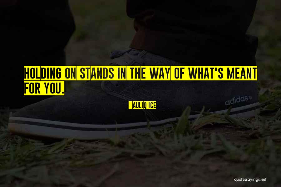 Demasters Roseville Quotes By Auliq Ice Demasters Roseville Quotes By Auliq Ice