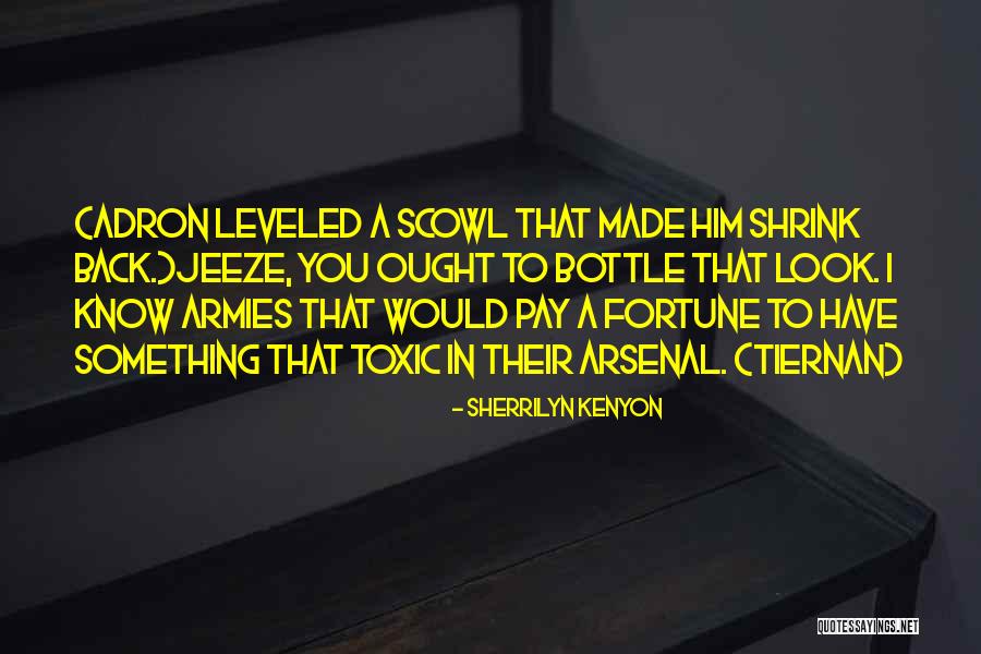 Dematerializing Quotes By Sherrilyn Kenyon Dematerializing Quotes By Sherrilyn Kenyon