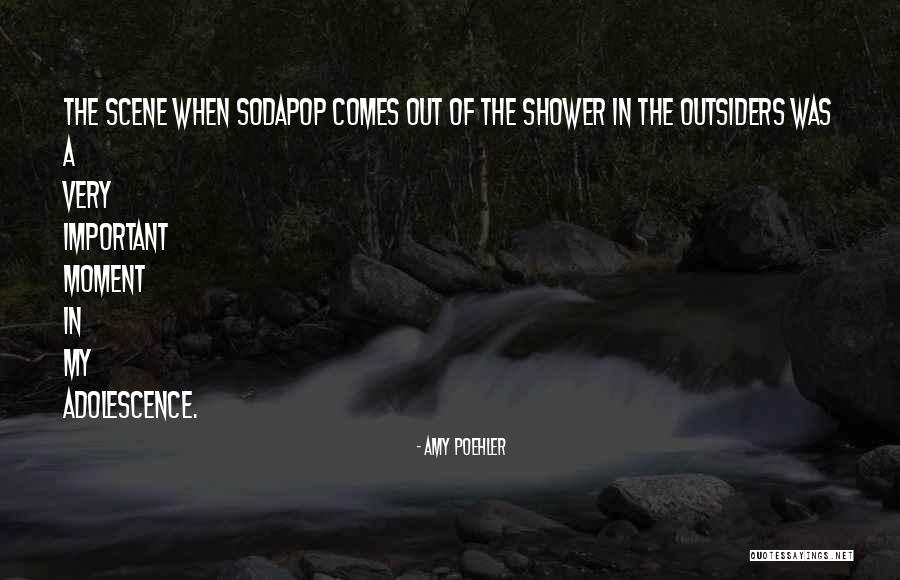 Demattia Companies Quotes By Amy Poehler Demattia Companies Quotes By Amy Poehler
