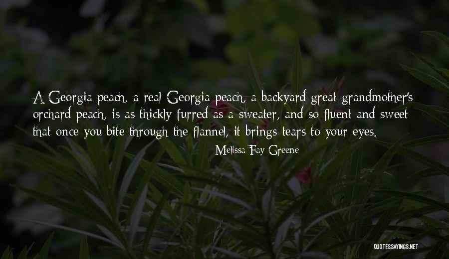 Demattia Companies Quotes By Melissa Fay Greene Demattia Companies Quotes By Melissa Fay Greene