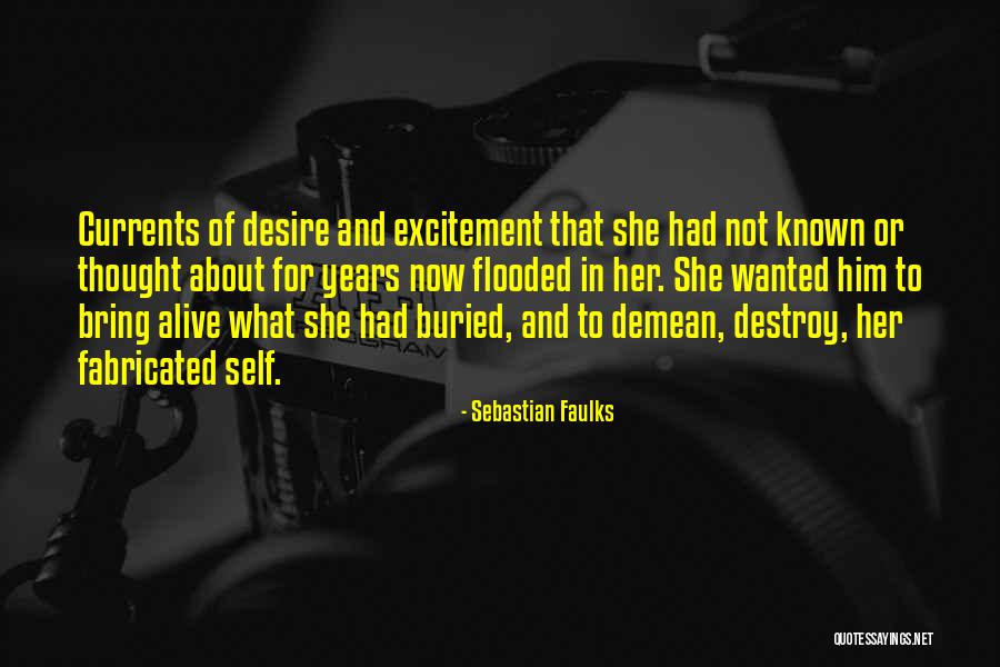 Demean You Quotes By Sebastian Faulks