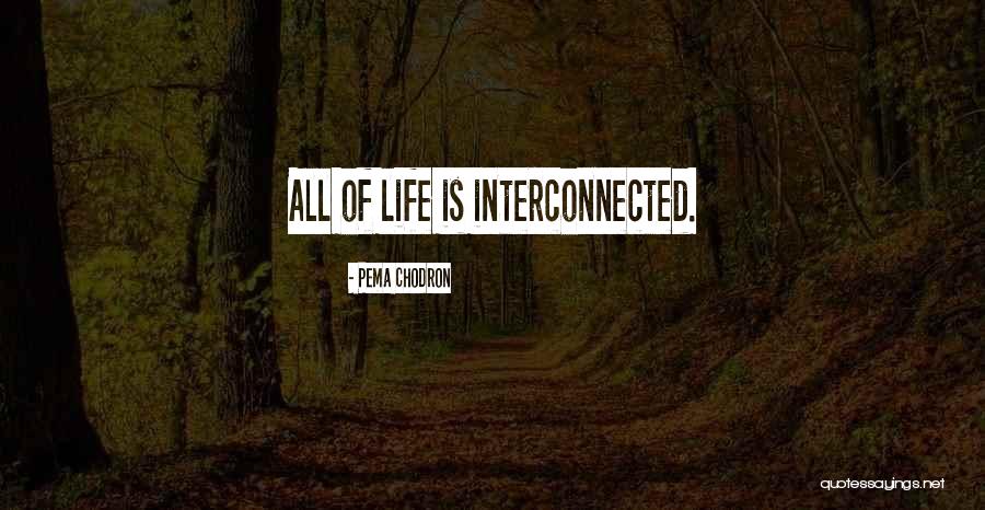 Demelios Quotes By Pema Chodron Demelios Quotes By Pema Chodron