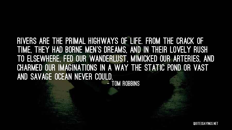 Demelo Restaurant Quotes By Tom Robbins Demelo Restaurant Quotes By Tom Robbins