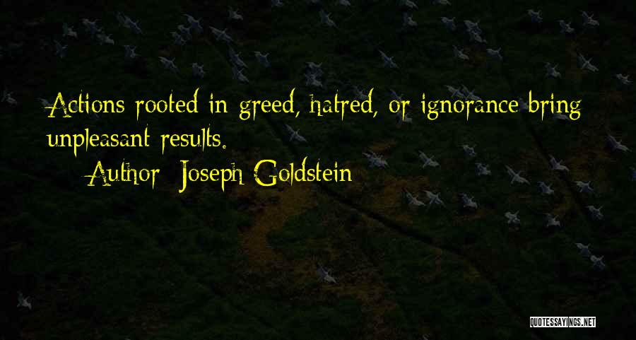 Dememis Quotes By Joseph Goldstein