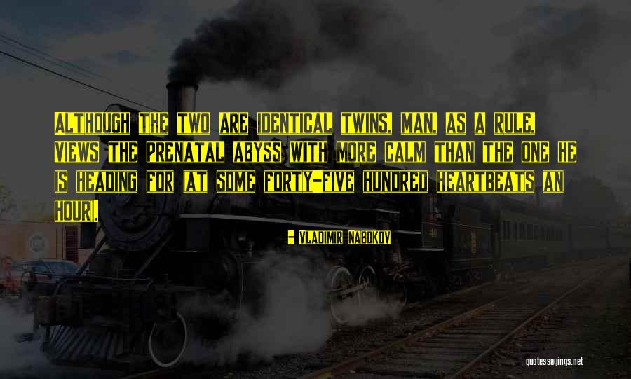Demenciales Quotes By Vladimir Nabokov Demenciales Quotes By Vladimir Nabokov