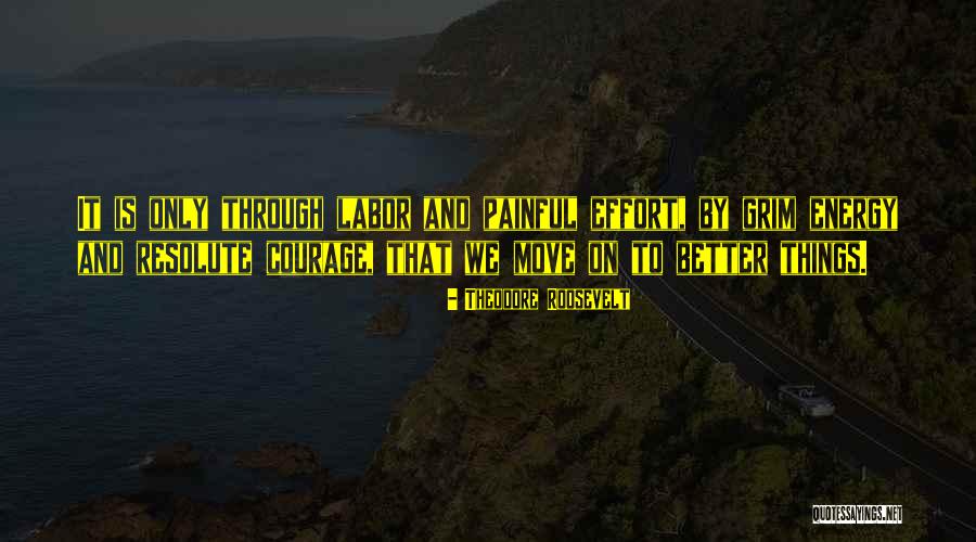 Dementium Nds Quotes By Theodore Roosevelt Dementium Nds Quotes By Theodore Roosevelt