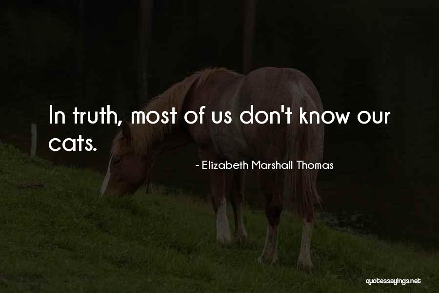 Demerits Quotes By Elizabeth Marshall Thomas Demerits Quotes By Elizabeth Marshall Thomas