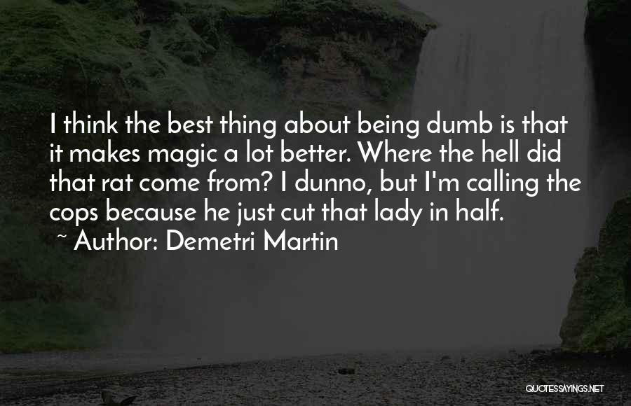 Demetri Martin Quotes 875772